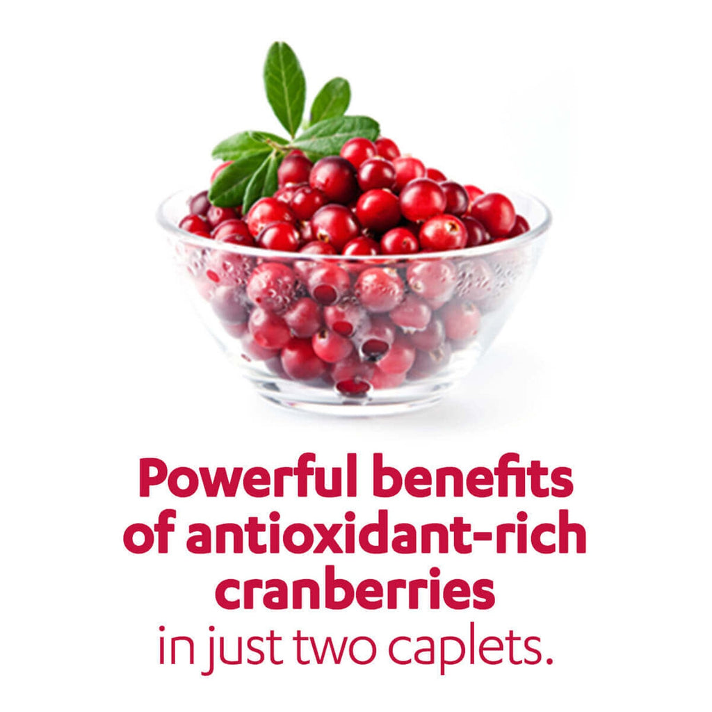 AZO Cranberry® Urinary Tract Health Supplement 87651042067
