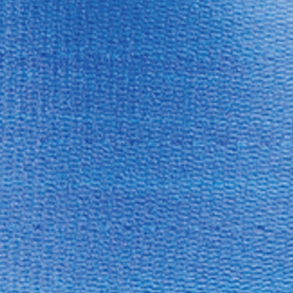 SkiL-Care™ PathoShield Gait Belt, Blue, 60 Inch 914380