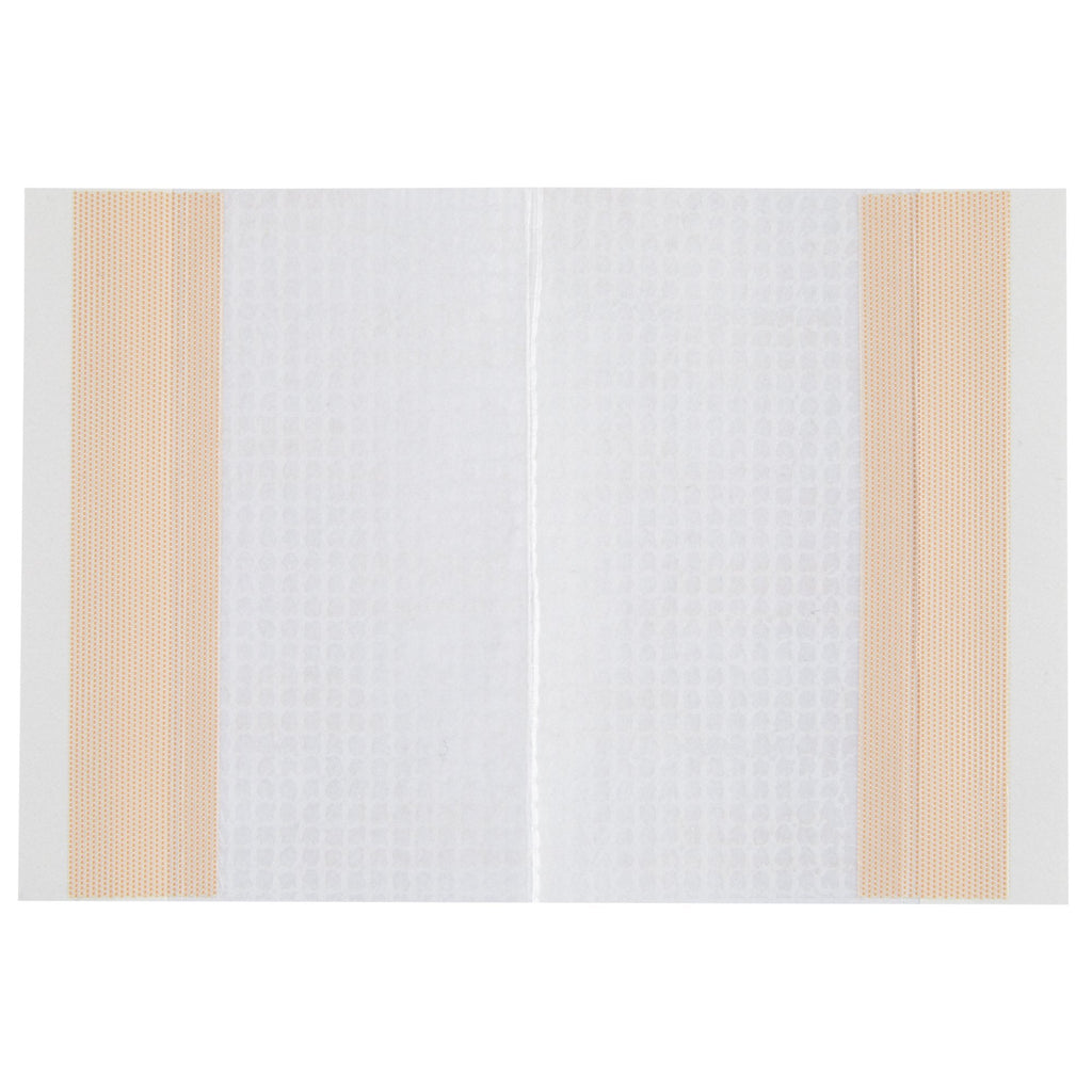 IV3000™ Catheter Securement Dressing, 4 x 5 Inch 4925