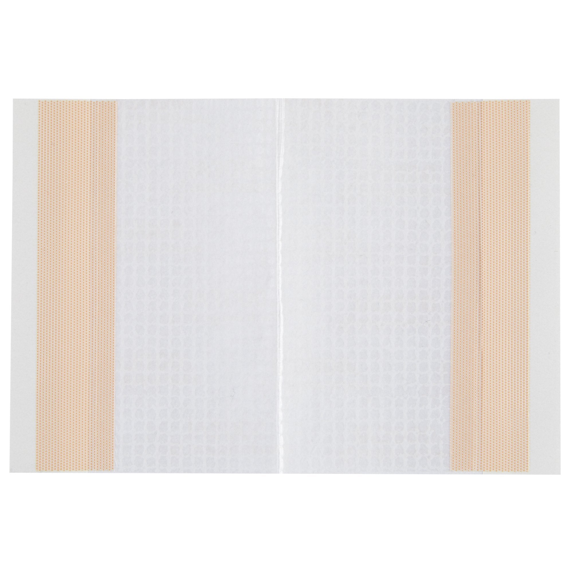 IV3000™ Catheter Securement Dressing, 4 x 5 Inch 4925