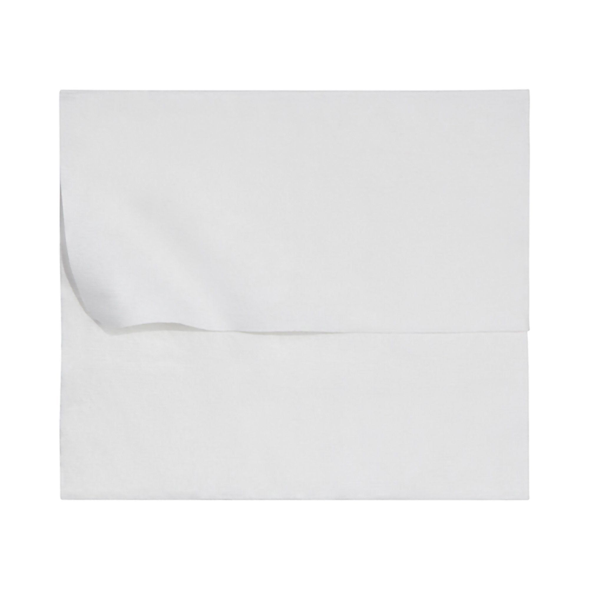 McKesson Flushable* Wet Wipes XL - Unscented, 48 Wipes per Pack DXLU48