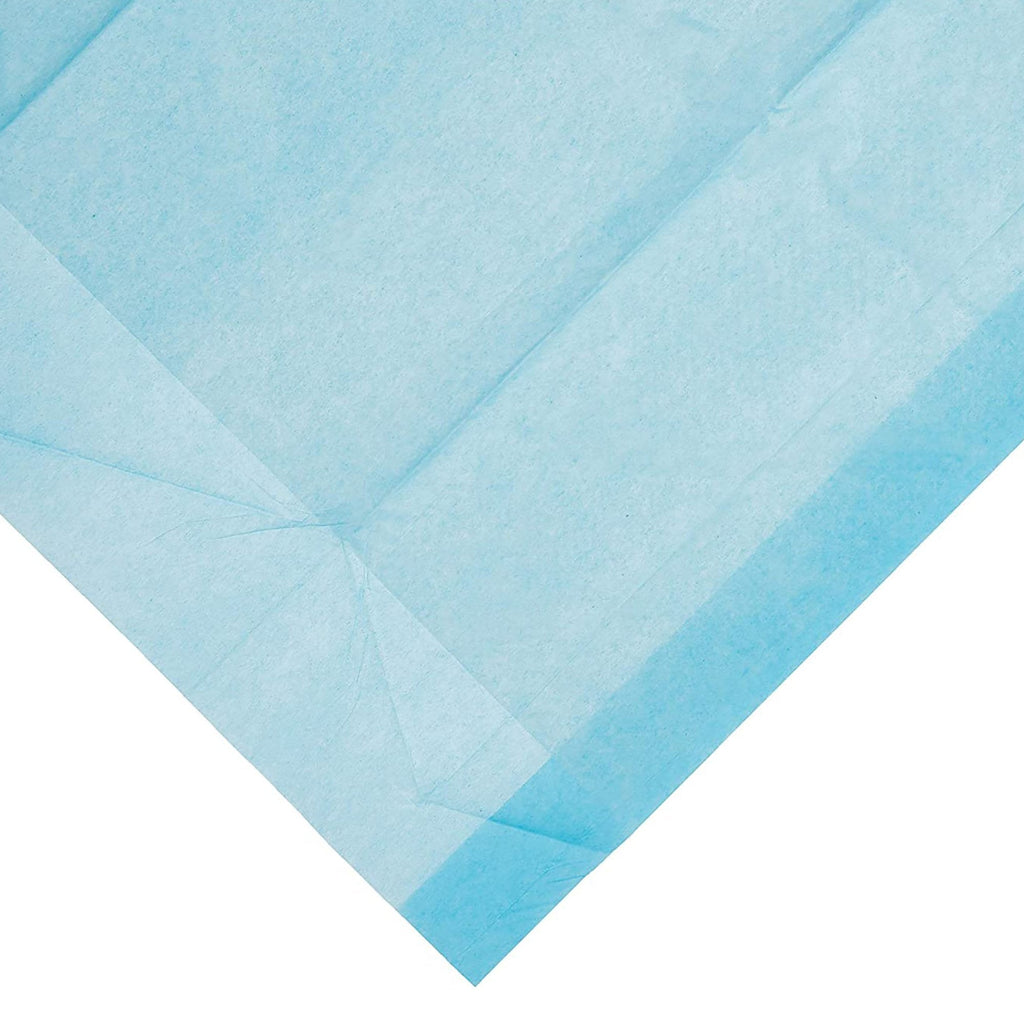 Dynarex® Absorbent Fluff Fill Underpad, 23 x 24 Inch 1342