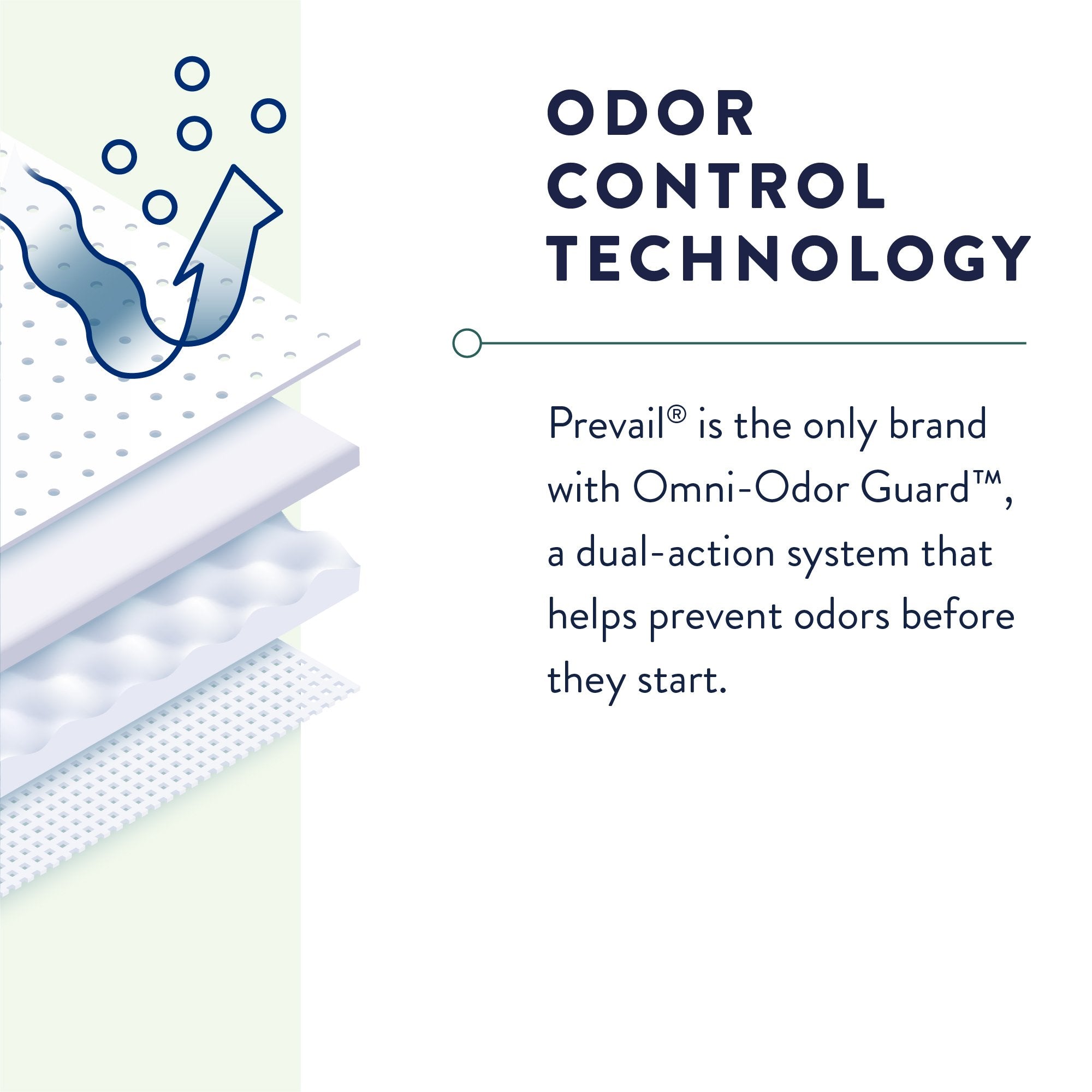 Prevail® Overnight Absorbent Underwear, Small PVX-512