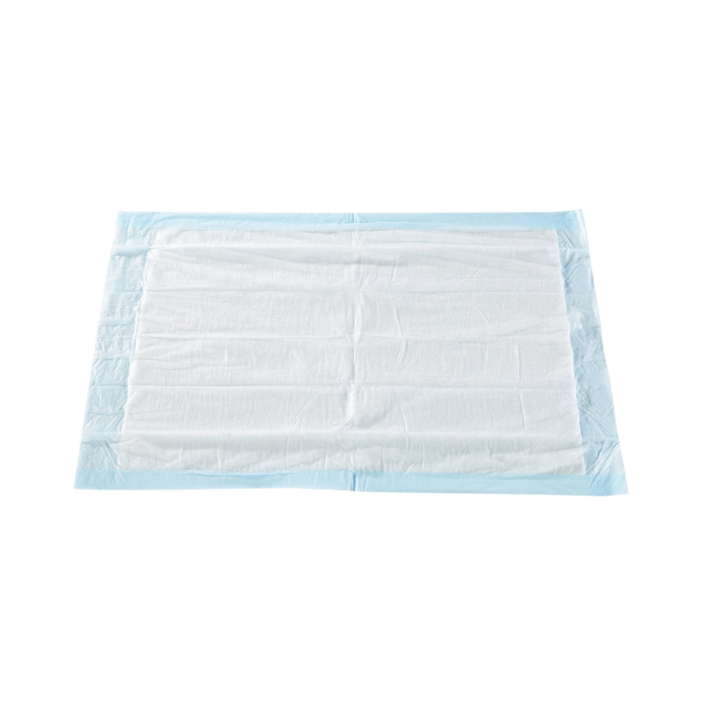 McKesson Classic Plus Light Absorbency Underpads, 17 x 24 Inch UPLT1724
