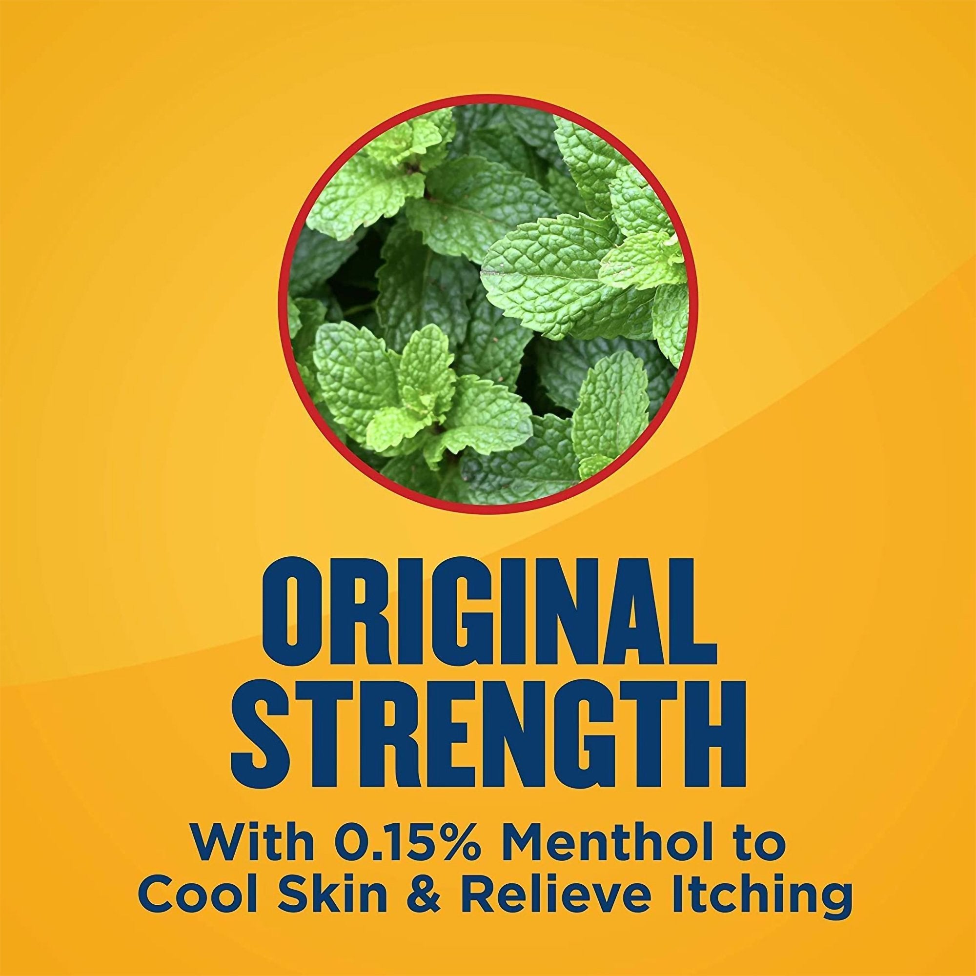 Gold Bond® Original Strength Medicated Body Powder, 4 oz. 04116701046