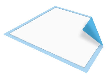 Disposable Underpad McKesson Classic Plus 23 X 24 Inch Fluff / Polymer Light Absorbency - UPLT2324