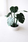 The Tween Space Monstera Coaster Set — Tropical Leaf Coasters with Display Holder | 3D Printed