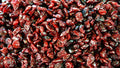 Rosehips Seedless, Cut, Sifted