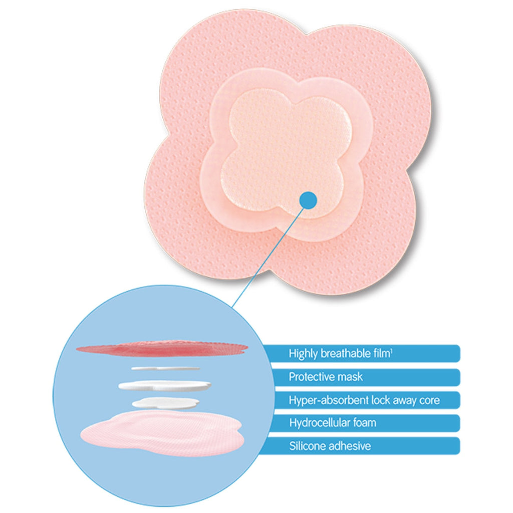 Allevyn Life Silicone Adhesive with Border Silicone Foam Dressing, 5¾ x 5¾ Inch 66801068