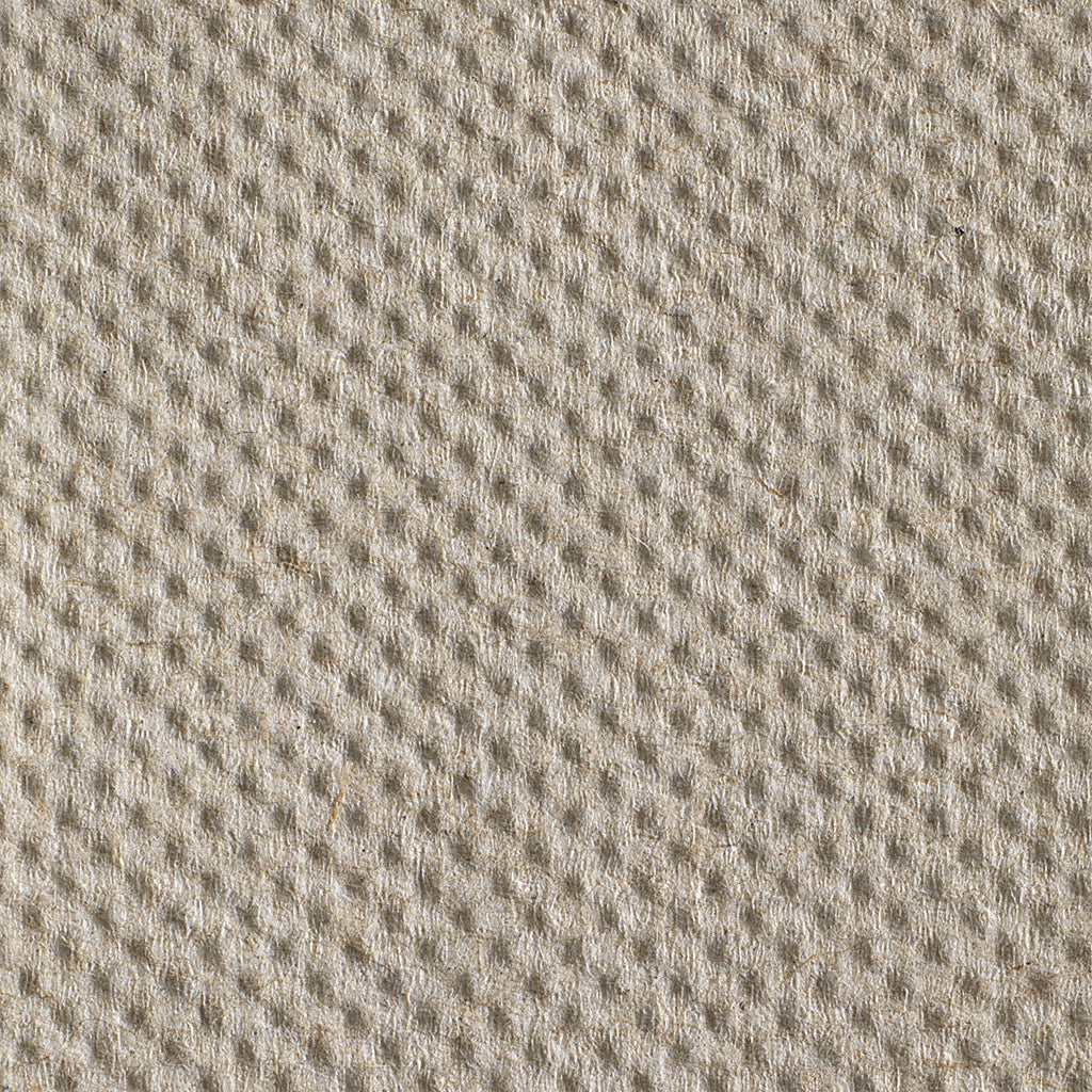 Pacific Blue Basic™ Brown Paper Towel, 7-7/8 Inch x 800 Foot, 6 Rolls per Case 26301