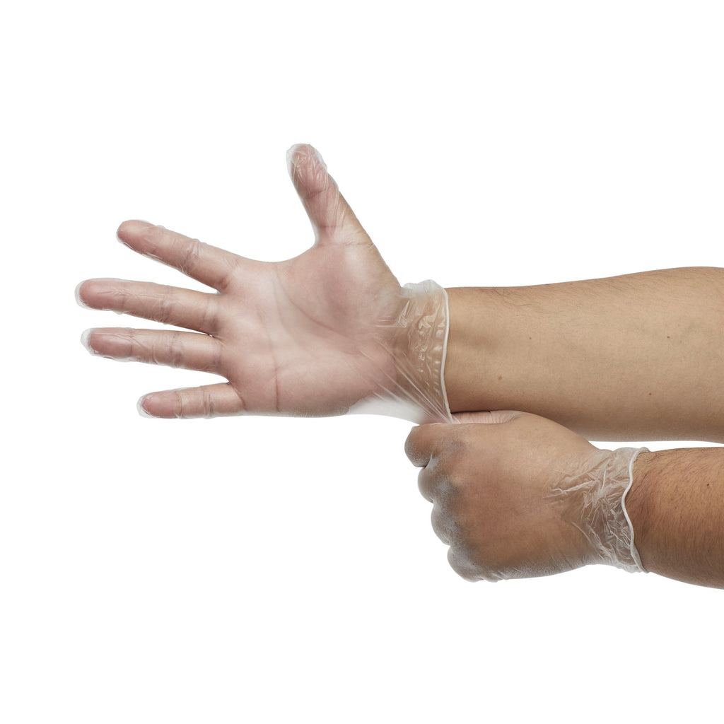 Derma Free™ Vinyl Exam Glove, Large, Clear DF-850-L