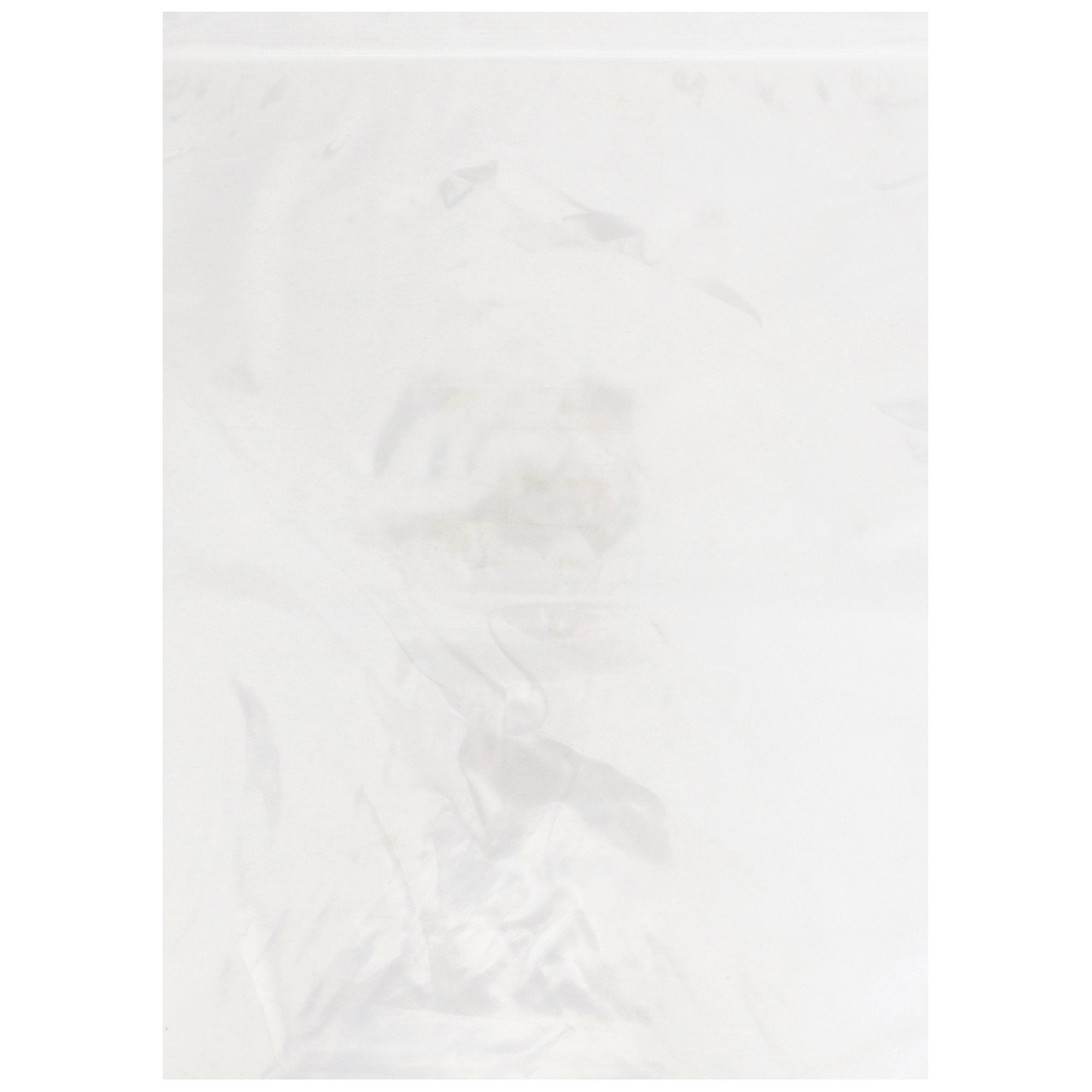 McKesson Zip Closure Bag, 10 X 13 Inches 4583