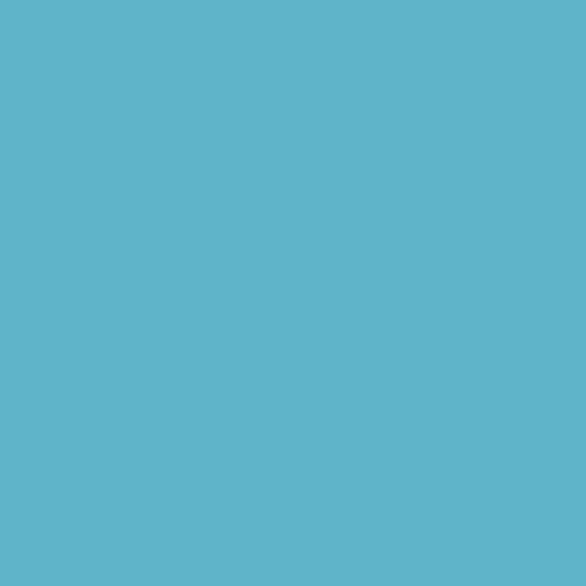 Tidi® Blue Procedure Towel, 13 x 18 Inch 9810867