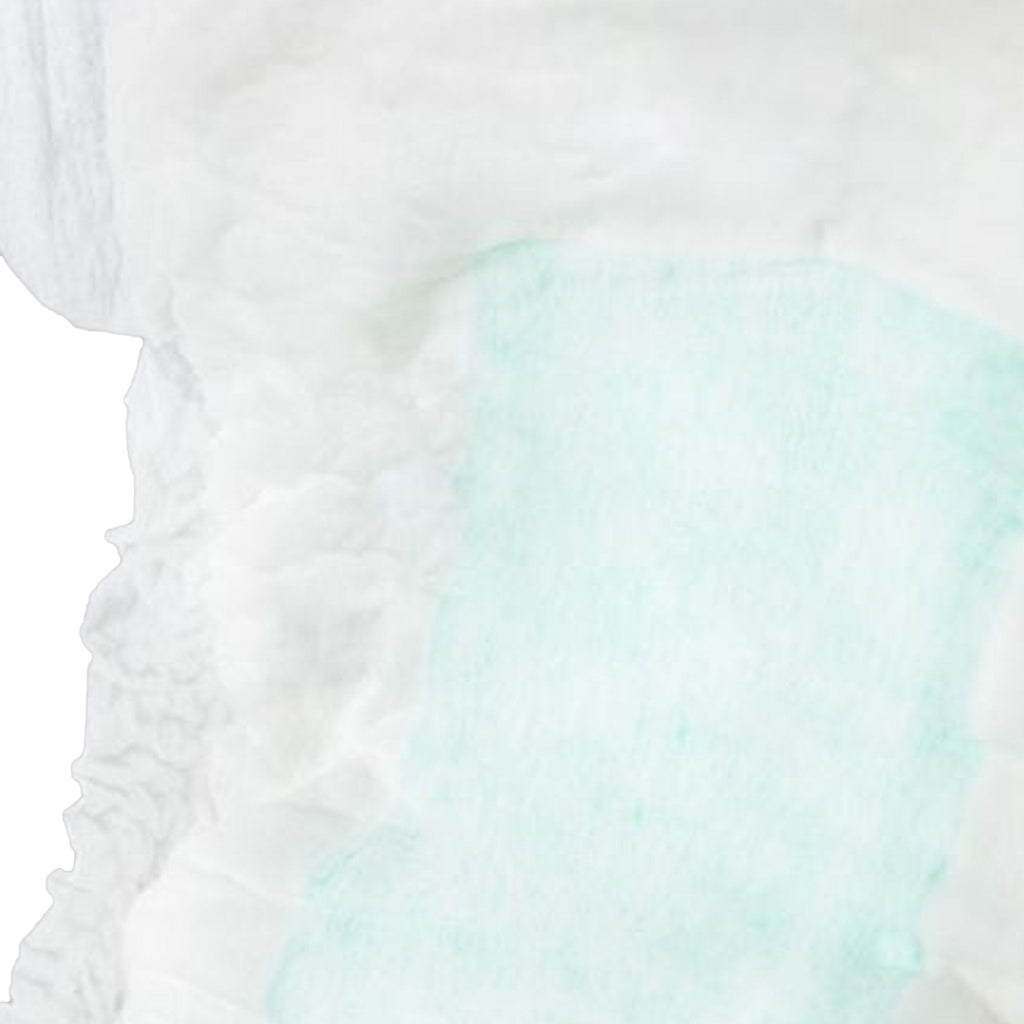 TotalDry Maximum Pads, Moderate Absorbency SP1573