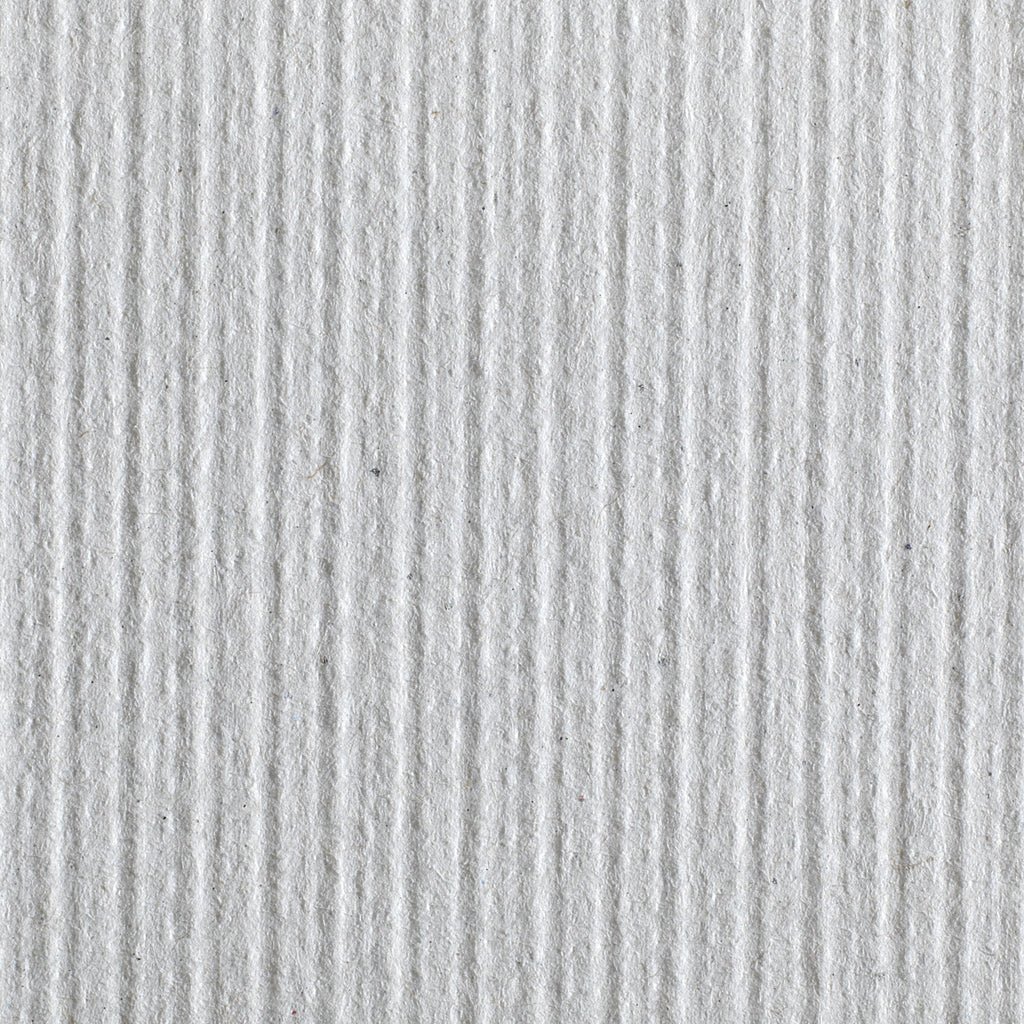 Pacific Blue Basic™ Paper Towel, 6 Rolls per Case 26601