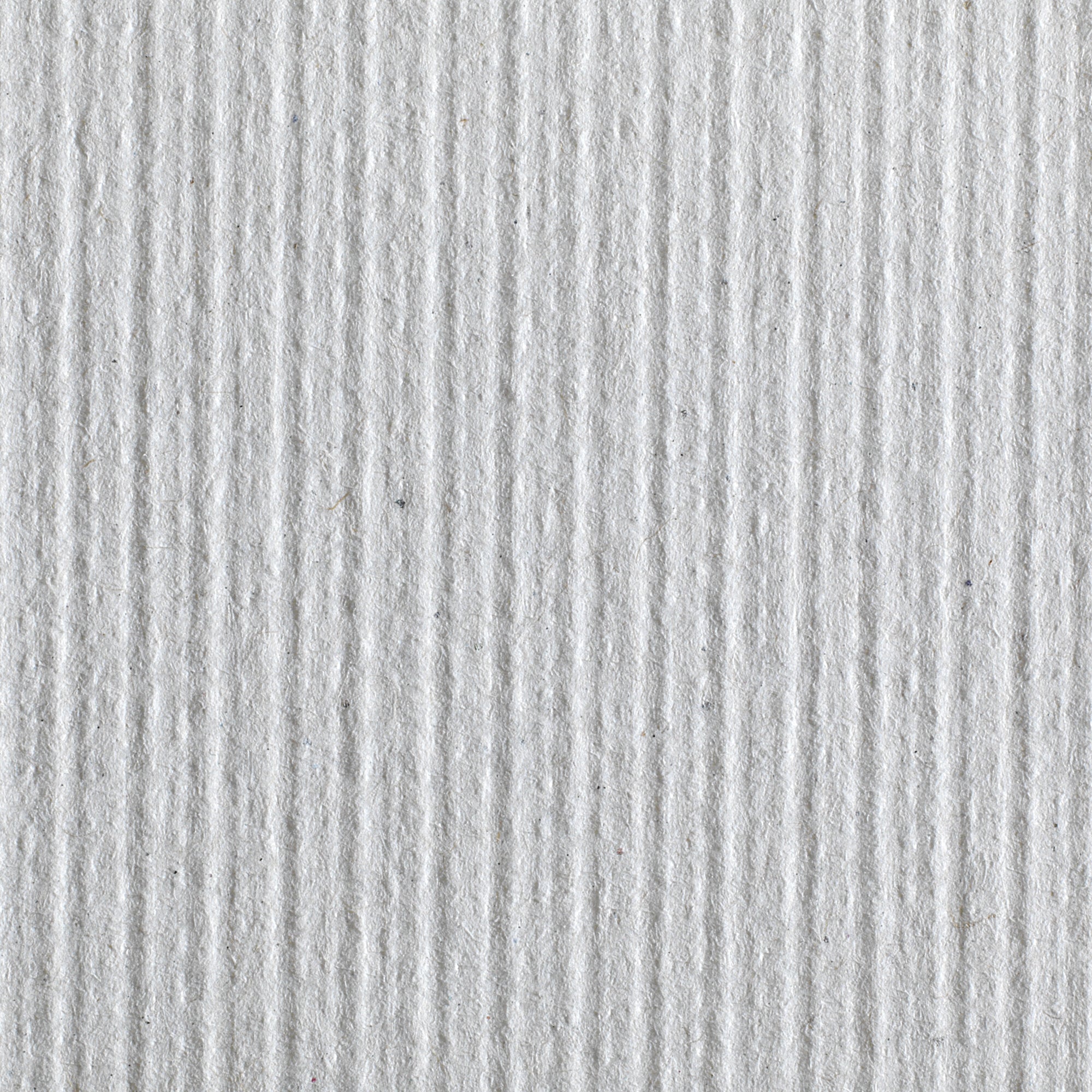 Pacific Blue Basic™ Paper Towel, 6 Rolls per Case 26601