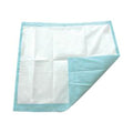 TotalDry™ Underpads, Disposable, Fluff/Polymer, Heavy-Absorbency, 30" x 36" SP115412